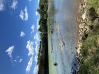 IMG_3514.jpeg