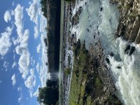 IMG_3509.jpeg