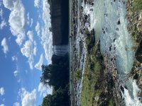 IMG_3508.jpeg