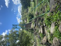 IMG_3505.jpeg