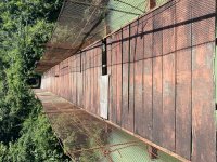 IMG_3501.jpeg