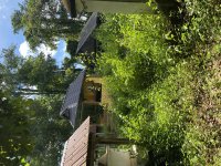 IMG_3535.jpeg