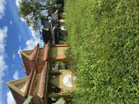 IMG_3532.jpeg