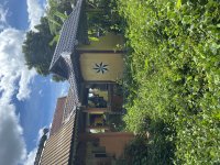 IMG_3529.jpeg