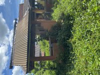 IMG_3528.jpeg