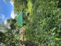 IMG_3526.jpeg
