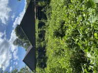 IMG_3525.jpeg