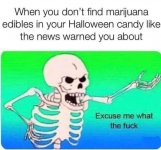 IMG_3587.jpeg