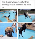 1730474880278.png