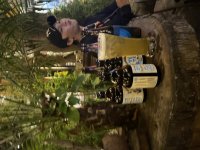 IMG_3845.jpeg