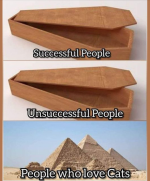 1730996845221.png