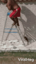 1731000197218.gif