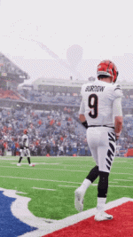 aptii-joe-burrow.gif