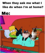 1731165526242.png