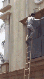 1731351557607.gif