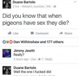 1731510011448.png