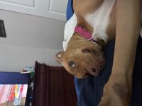 IMG_2384.jpeg