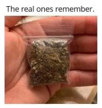 IMG_4295.jpeg