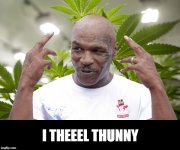 1731712343221.jpeg