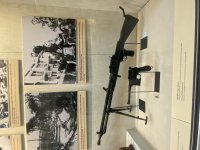 IMG_4324.jpeg