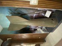 IMG_4328.jpeg