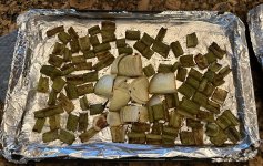 IMG_9870.jpeg