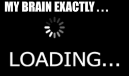 1732037944222.png