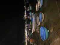 IMG_4558.jpeg