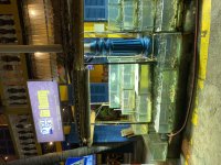 IMG_4560.jpeg
