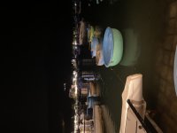 IMG_4565.jpeg