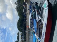 IMG_4635.jpeg