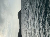 IMG_4637.jpeg