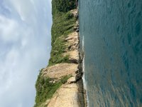 IMG_4655.jpeg