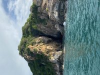 IMG_4652.jpeg