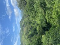 IMG_4689.jpeg