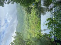 IMG_4697.jpeg