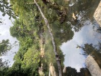 IMG_4695.jpeg