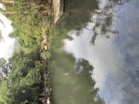 IMG_4693.jpeg