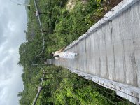 IMG_4690.jpeg