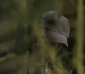 1732202378378.png