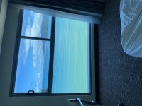 IMG_4763.jpeg