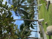 IMG_4784.jpeg