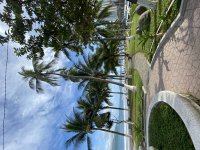 IMG_4782.jpeg