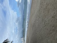 IMG_4781.jpeg