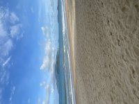 IMG_4780.jpeg
