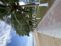 IMG_4779.jpeg