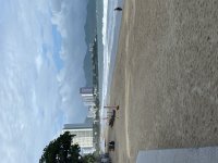 IMG_4778.jpeg