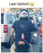 1732375193259.png