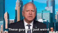 1732394579036.gif