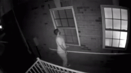 1732641105250.gif